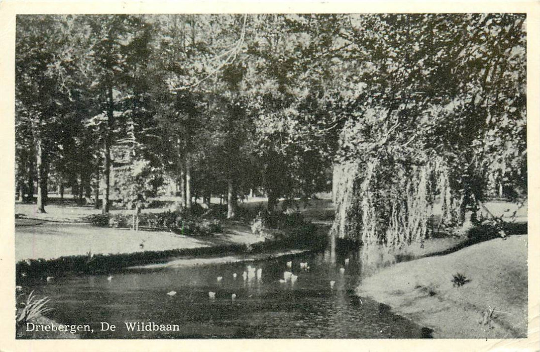 Driebergen-Rijsenburg de Wildbaan