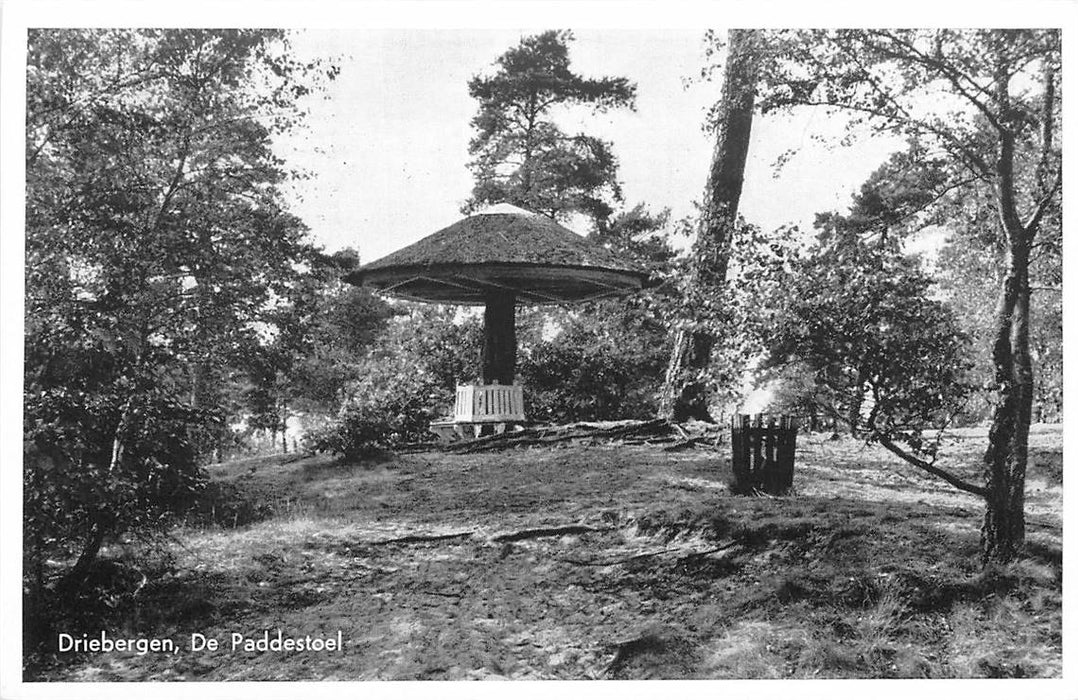 Driebergen-Rijsenburg De Paddenstoel