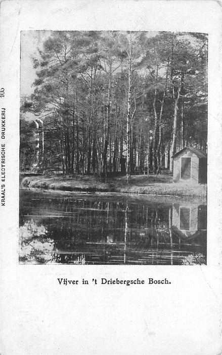 Driebergen-Rijsenburg Vijver