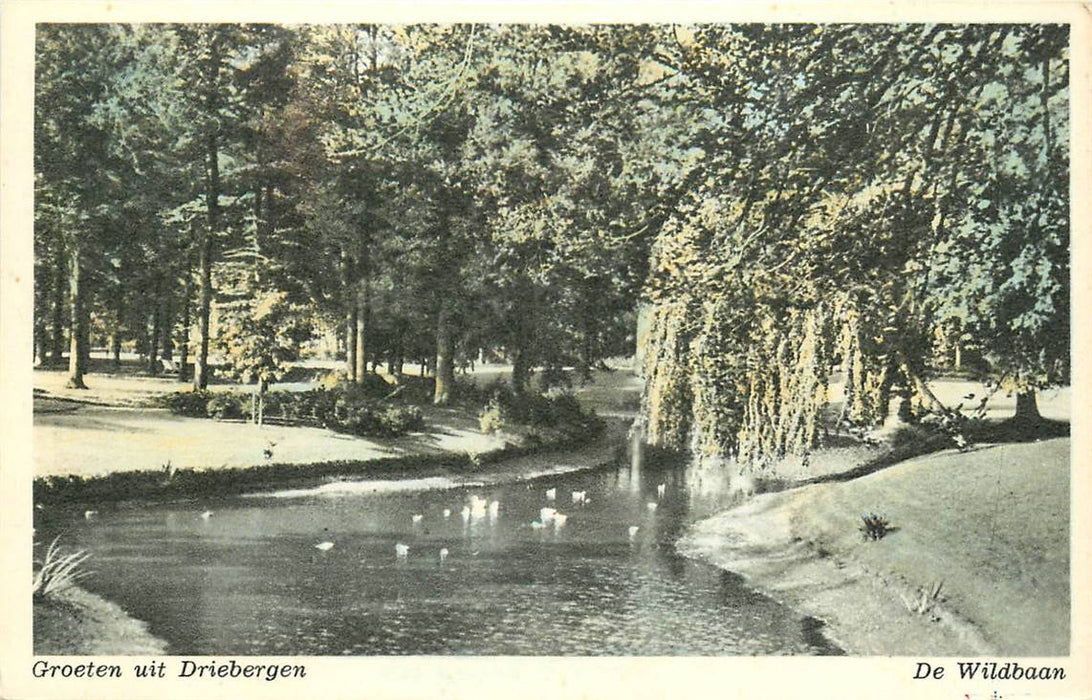 Driebergen-Rijsenburg de Wildbaan