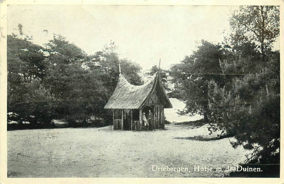 Driebergen-Rijsenburg Hutje in de Duinen