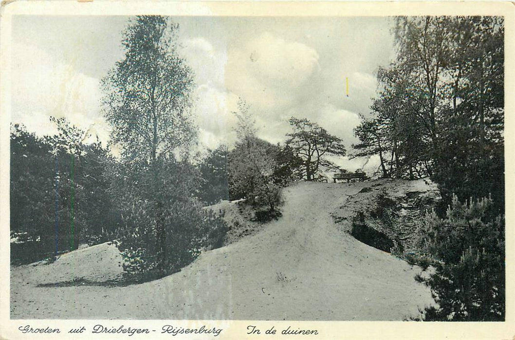 Driebergen-Rijsenburg In de Duinen