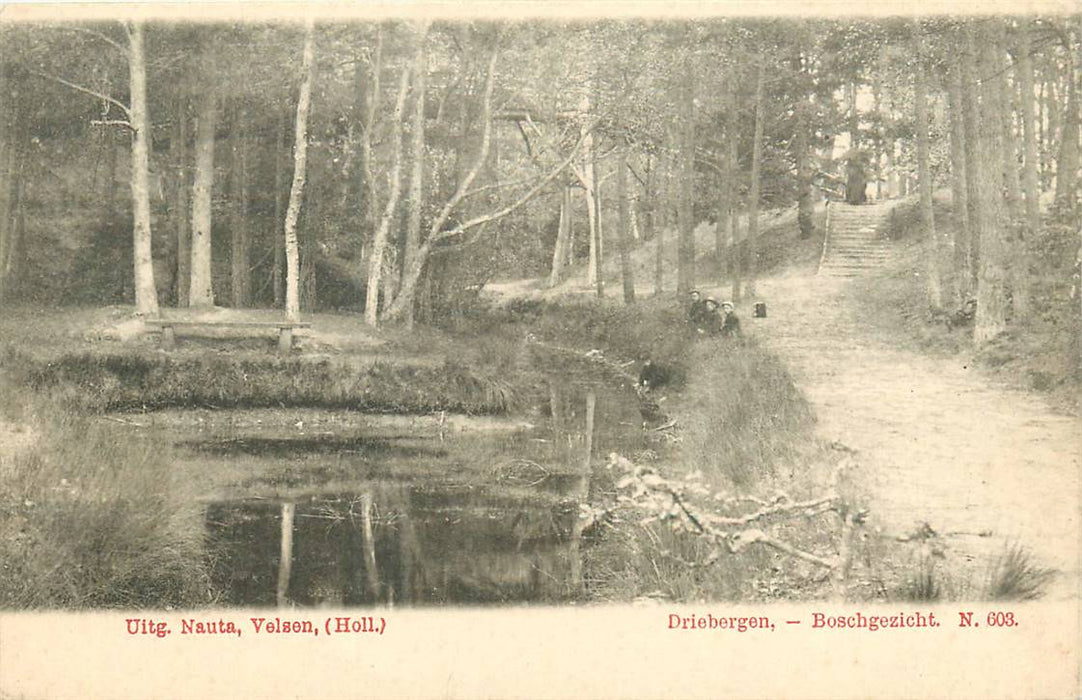 Driebergen-Rijsenburg Boschgezicht