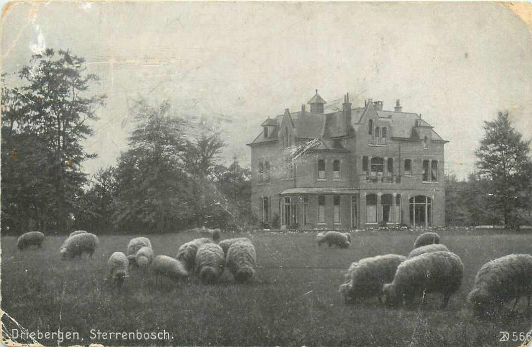 Driebergen-Rijsenburg Sterrenbosch