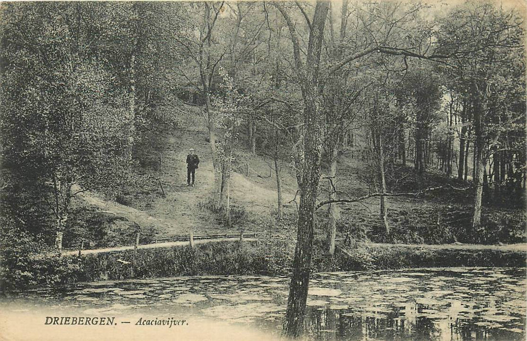 Driebergen-Rijsenburg Acaciavijver