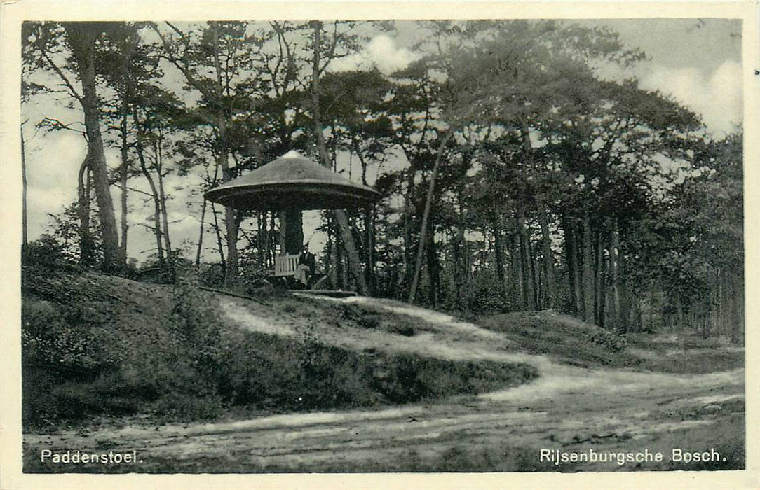 Driebergen-Rijsenburg Paddenstoel