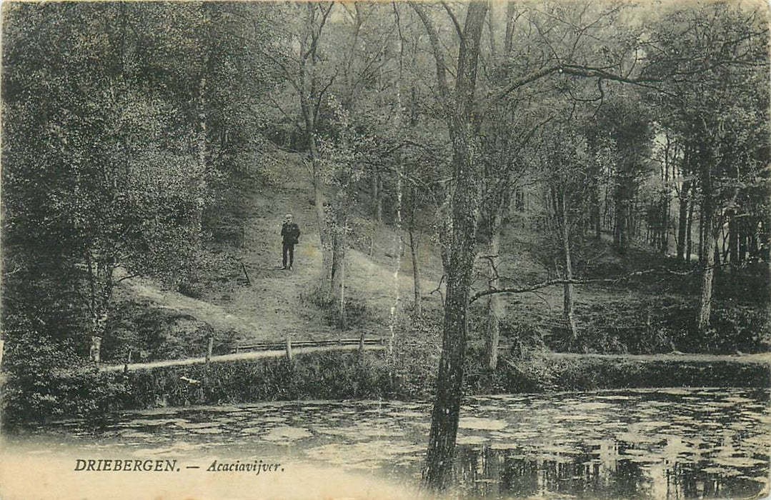 Driebergen-Rijsenburg Acaciavijver