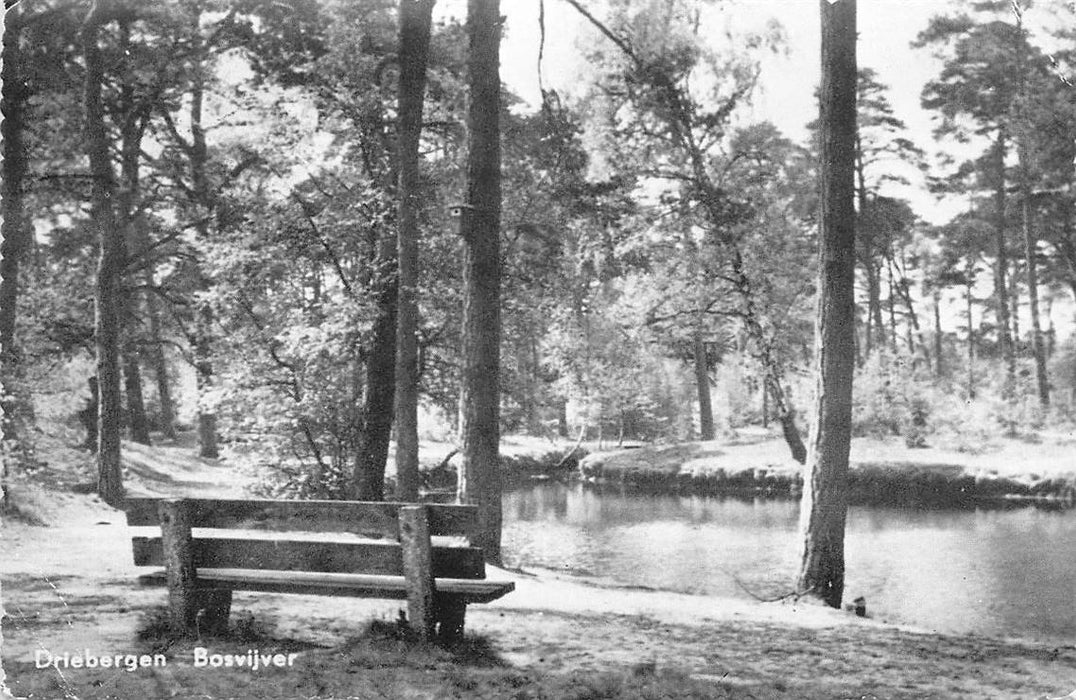 Driebergen-Rijsenburg Bosvijver