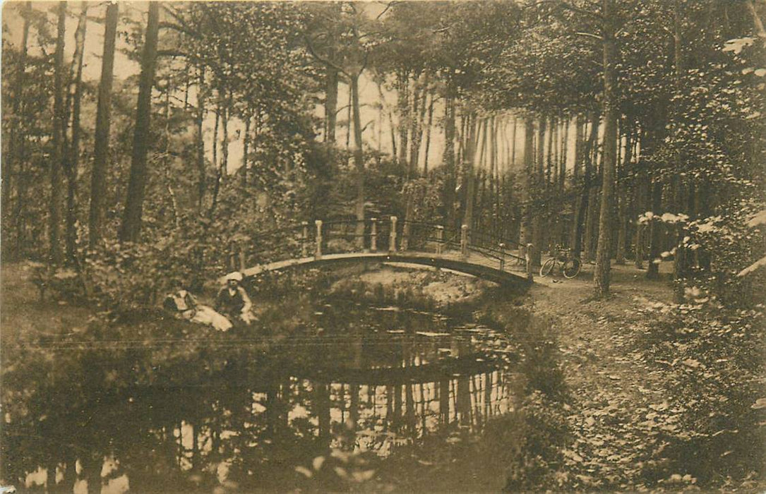 Driebergen-Rijsenburg Bruggetje in t Bosch