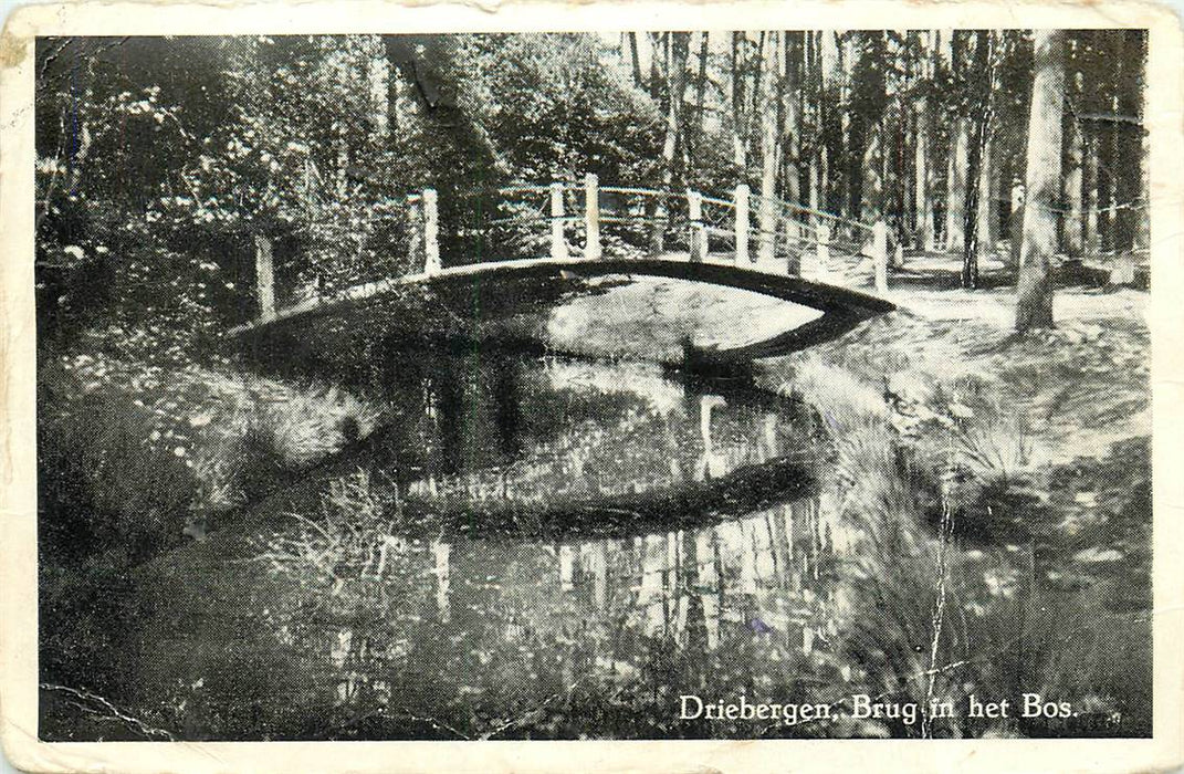 Driebergen-Rijsenburg Brug in het Bos