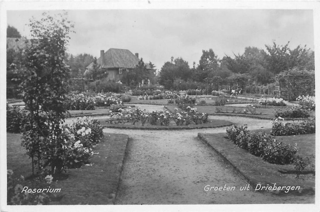 Driebergen-Rijsenburg Rosarium