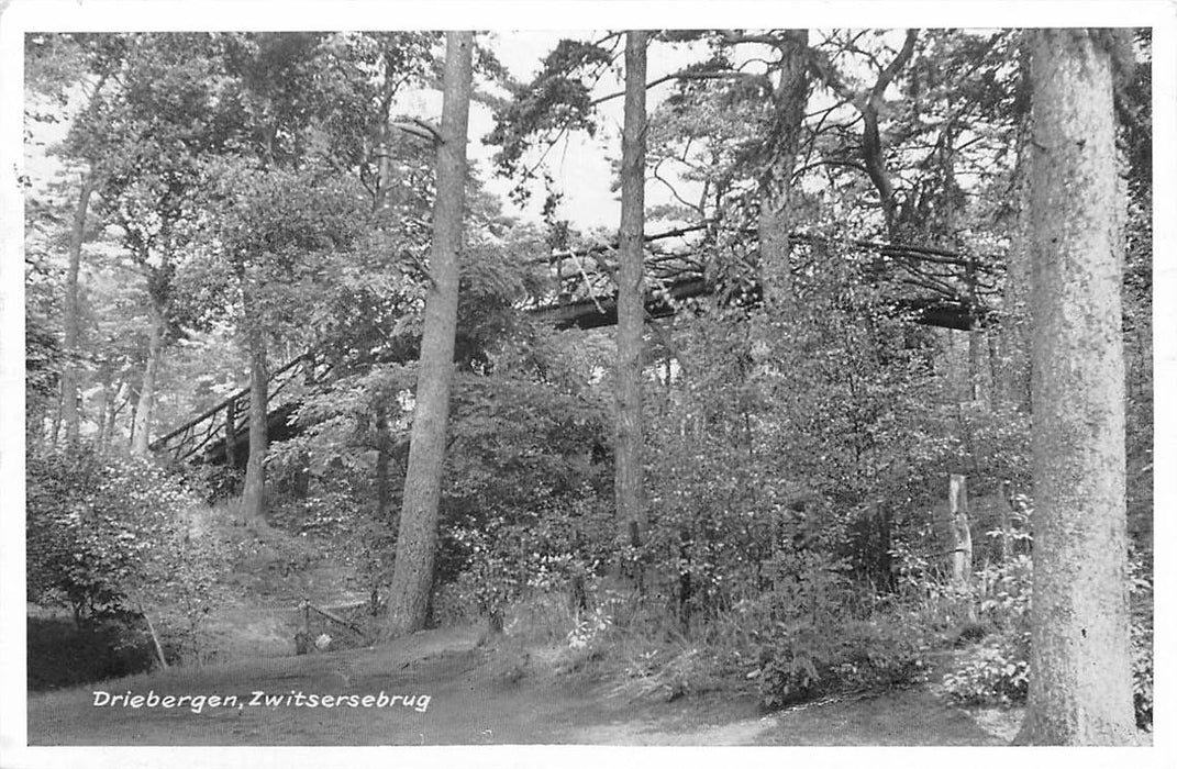 Driebergen-Rijsenburg Zwitsersebrug