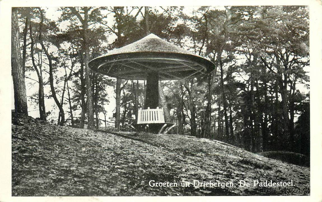 Driebergen-Rijsenburg De Paddenstoel