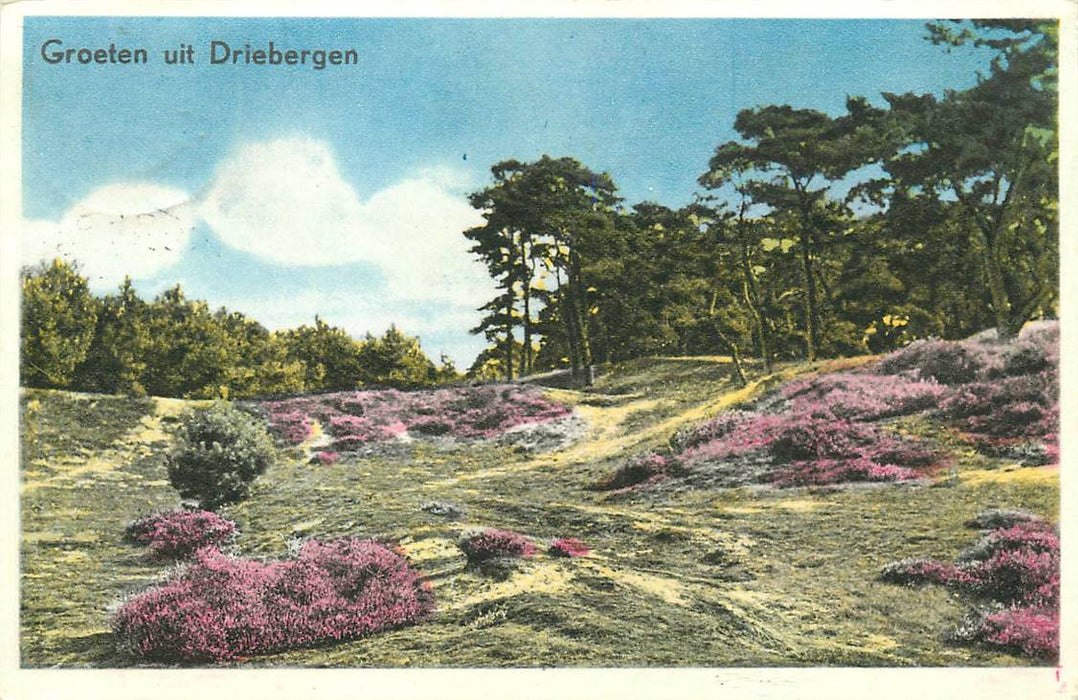 Driebergen-Rijsenburg Groeten uit