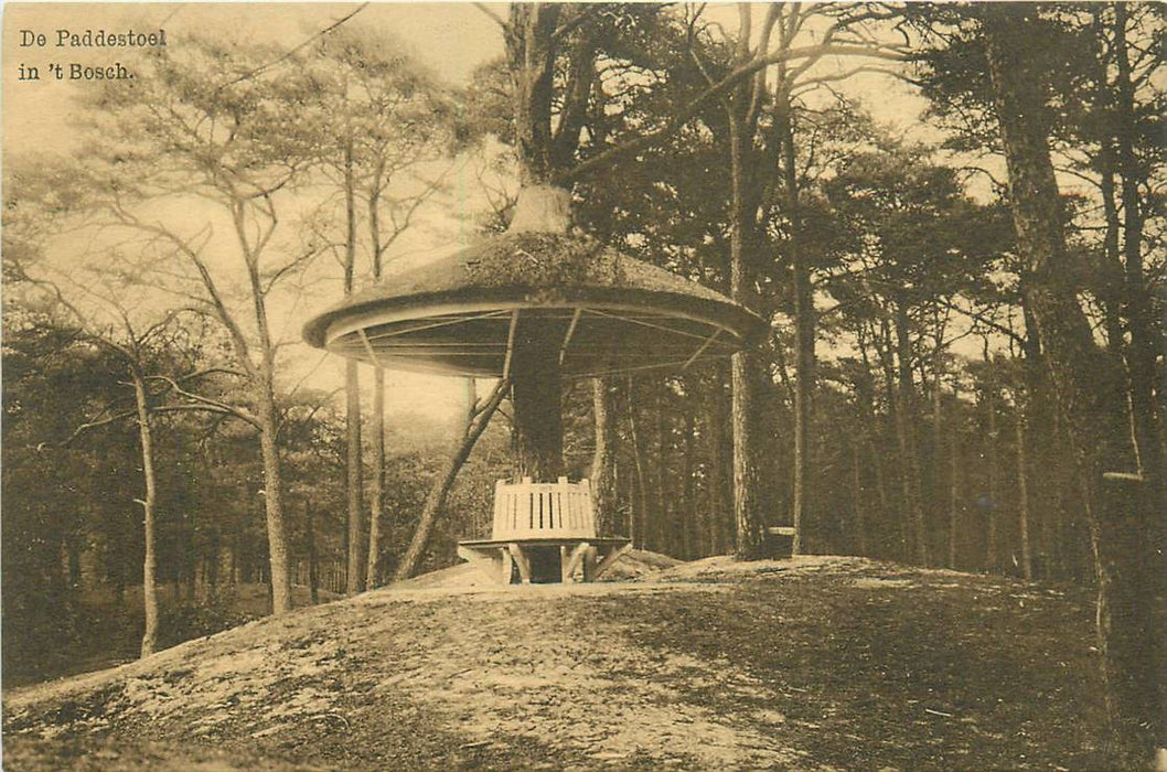 Driebergen-Rijsenburg De Paddenstoel