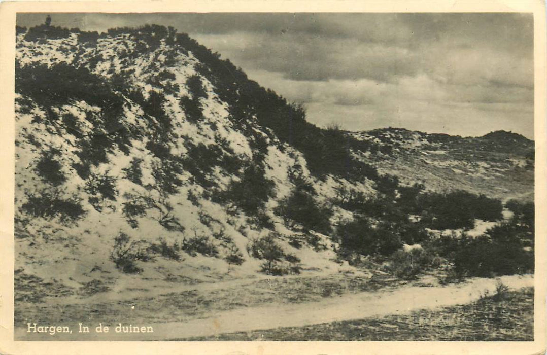 Hargen in de Duinen