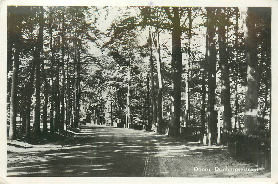 Doorn Driebergsestraat