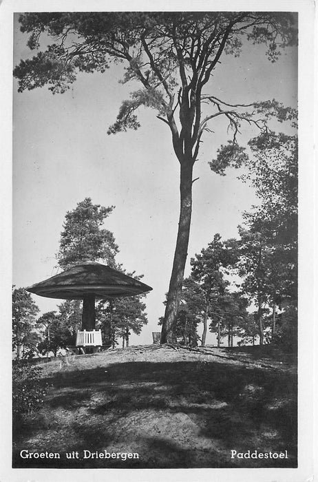 Driebergen-Rijsenburg Paddenstoel