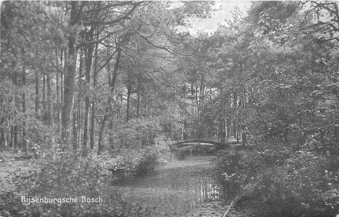 Driebergen-Rijsenburg Bosch