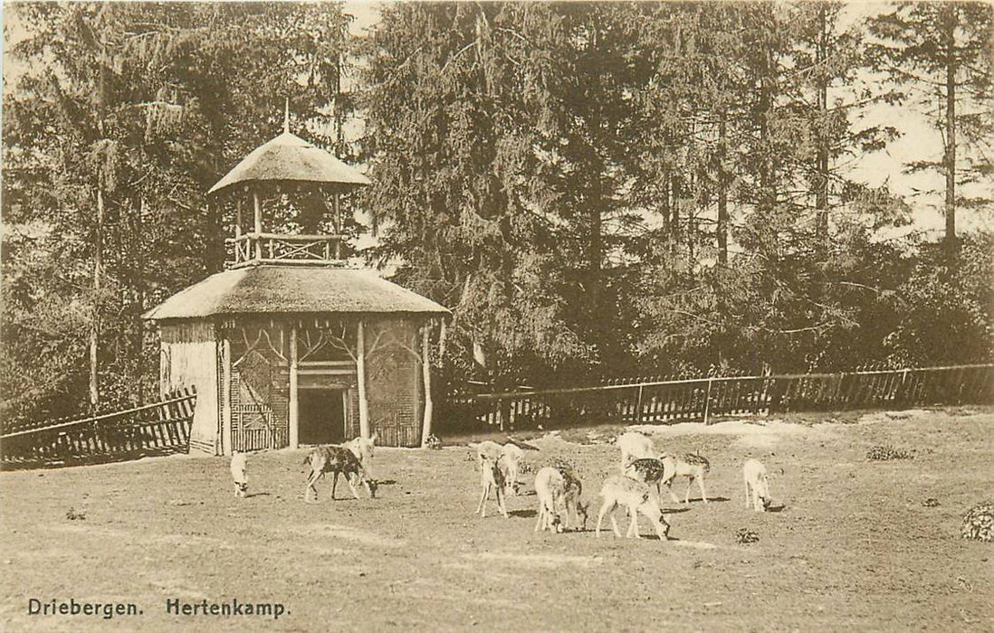 Driebergen-Rijsenburg Hertenkamp