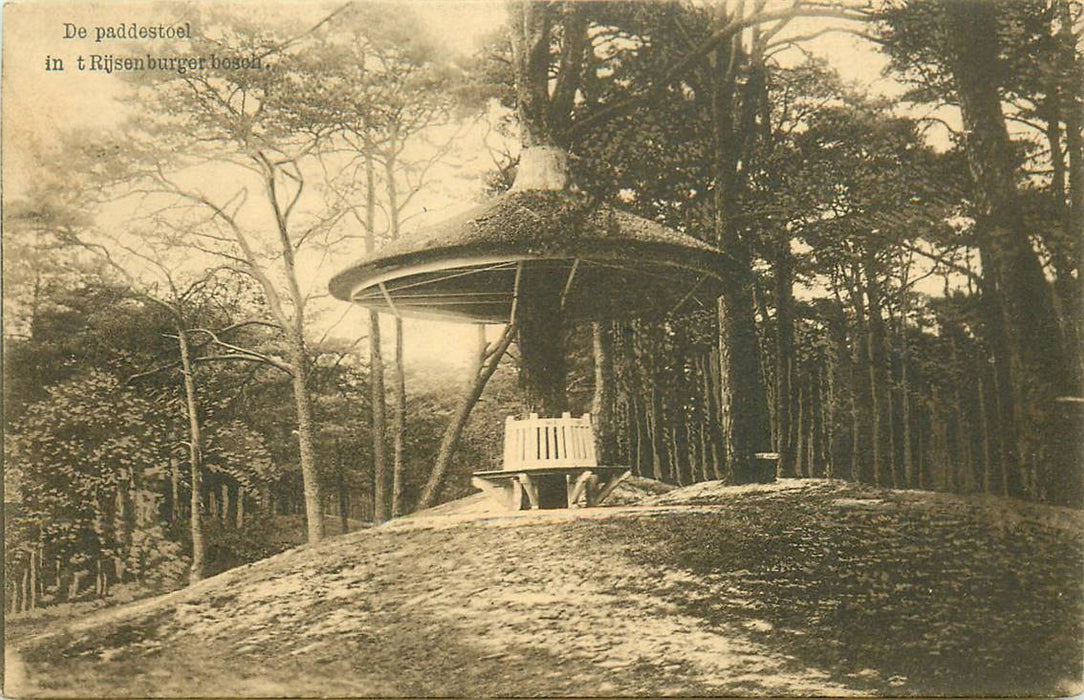 Driebergen-Rijsenburg Paddenstoel