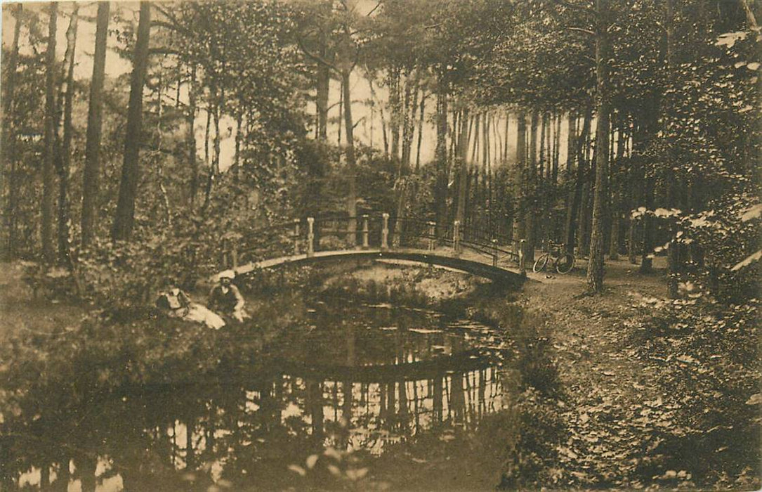 Driebergen-Rijsenburg Bruggetje in t Bosch