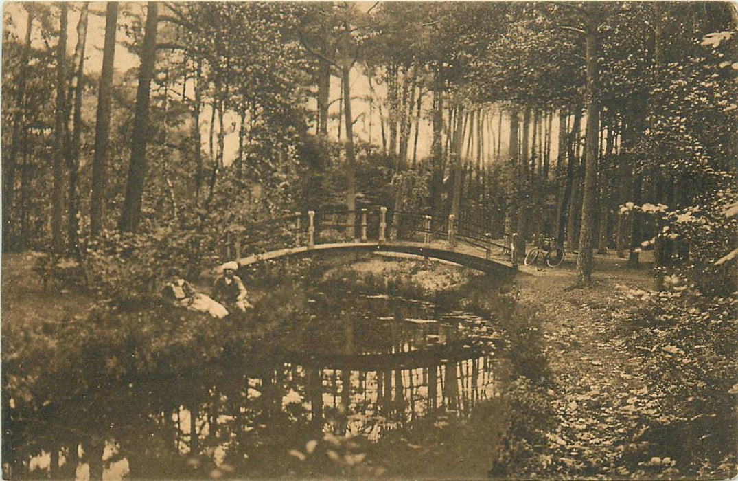 Driebergen-Rijsenburg Bruggetje in t Bosch