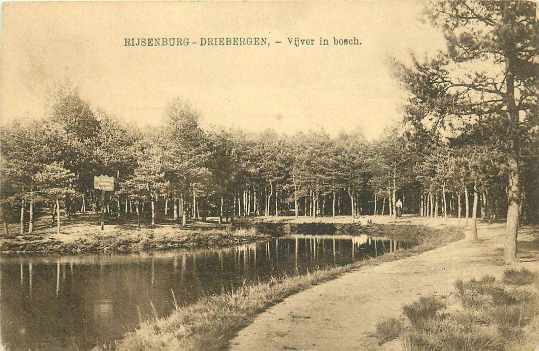 Driebergen-Rijsenburg Vijver in Bosch