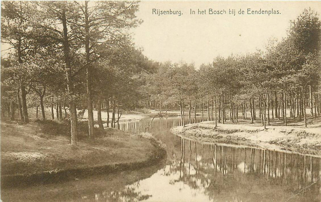 Driebergen-Rijsenburg In het Bosch bij de Eendenplas