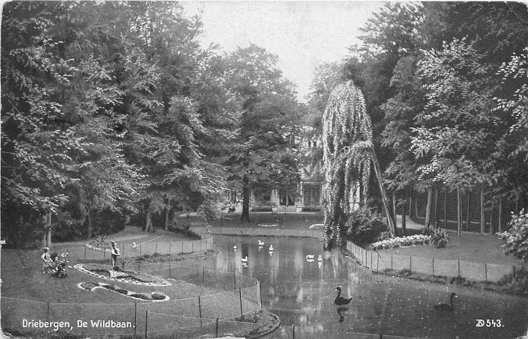 Driebergen-Rijsenburg de Wildbaan