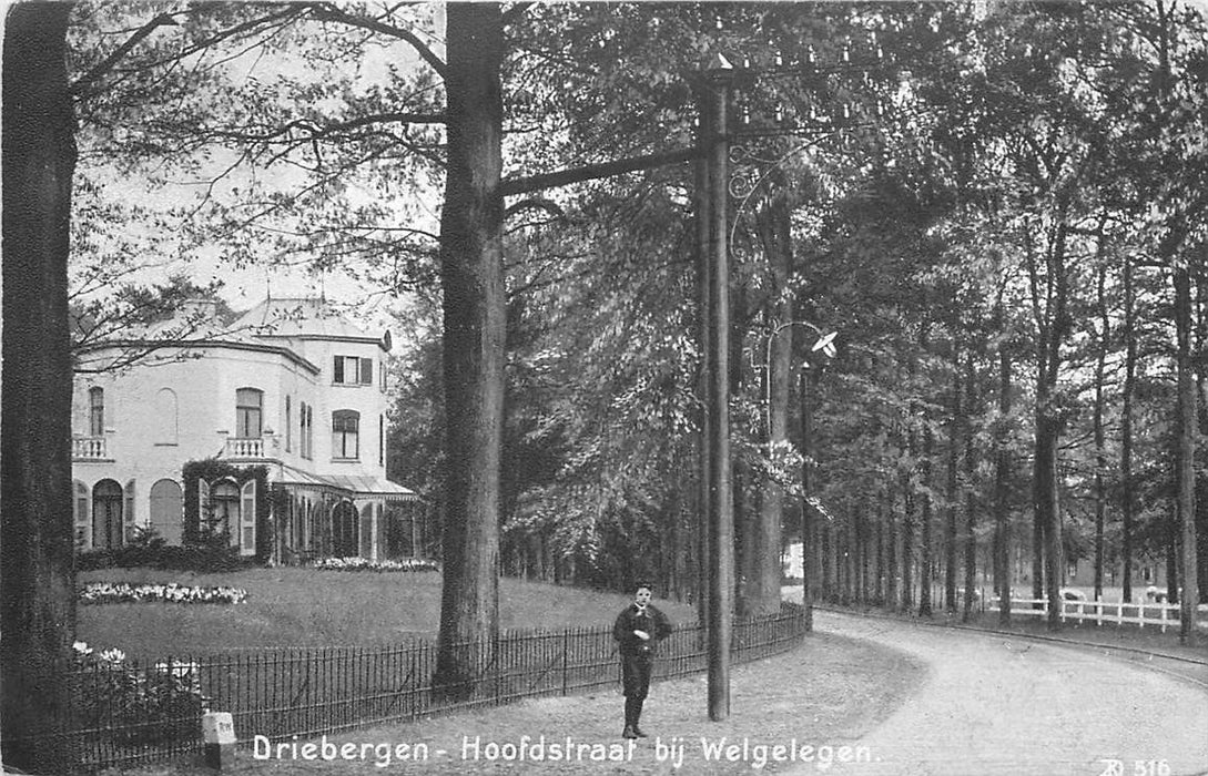 Driebergen-Rijsenburg Hoofdstraat bij Welgelegen