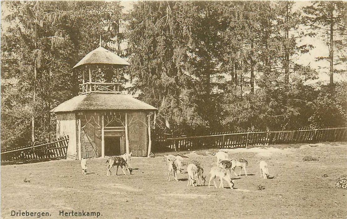 Driebergen-Rijsenburg Hertenkamp