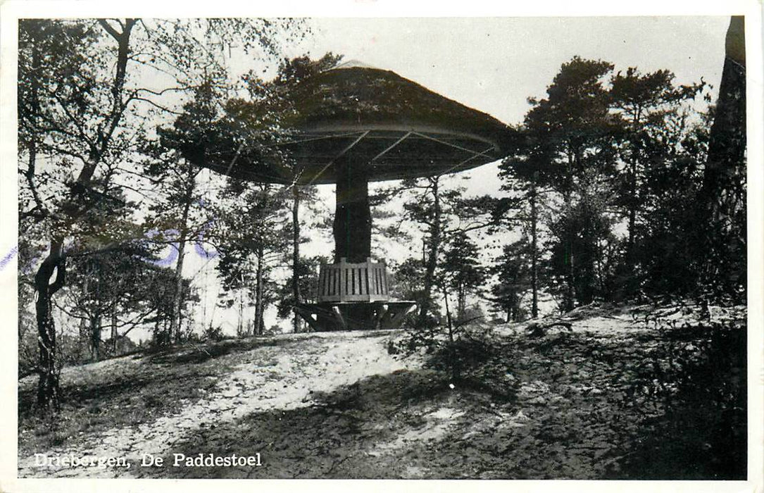 Driebergen-Rijsenburg De Paddenstoel