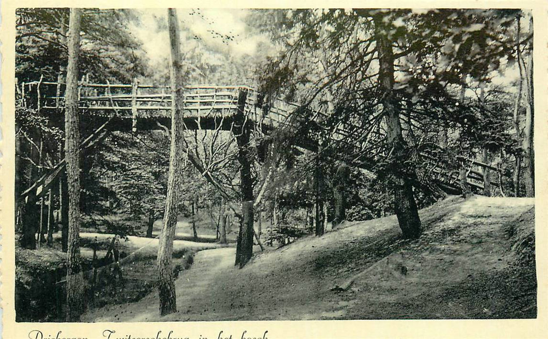 Driebergen-Rijsenburg Zwitsersche Brug