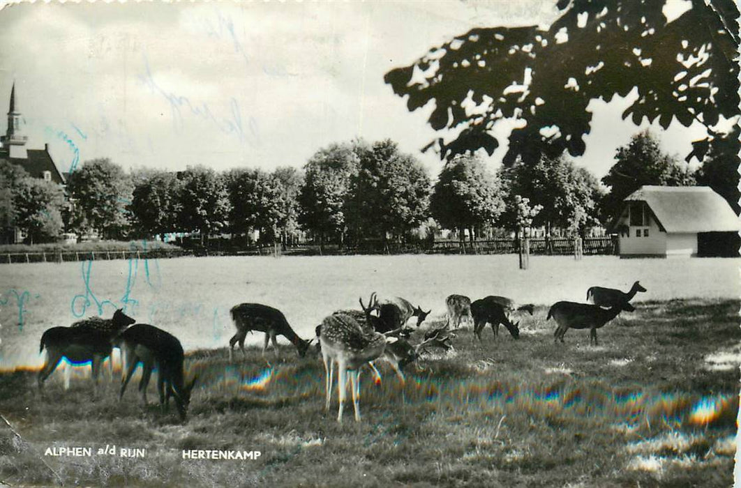 Alphen aan den Rijn Hertenkamp