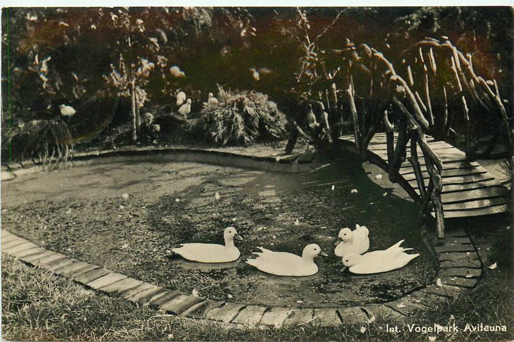 Alphen aan den Rijn Avifauna