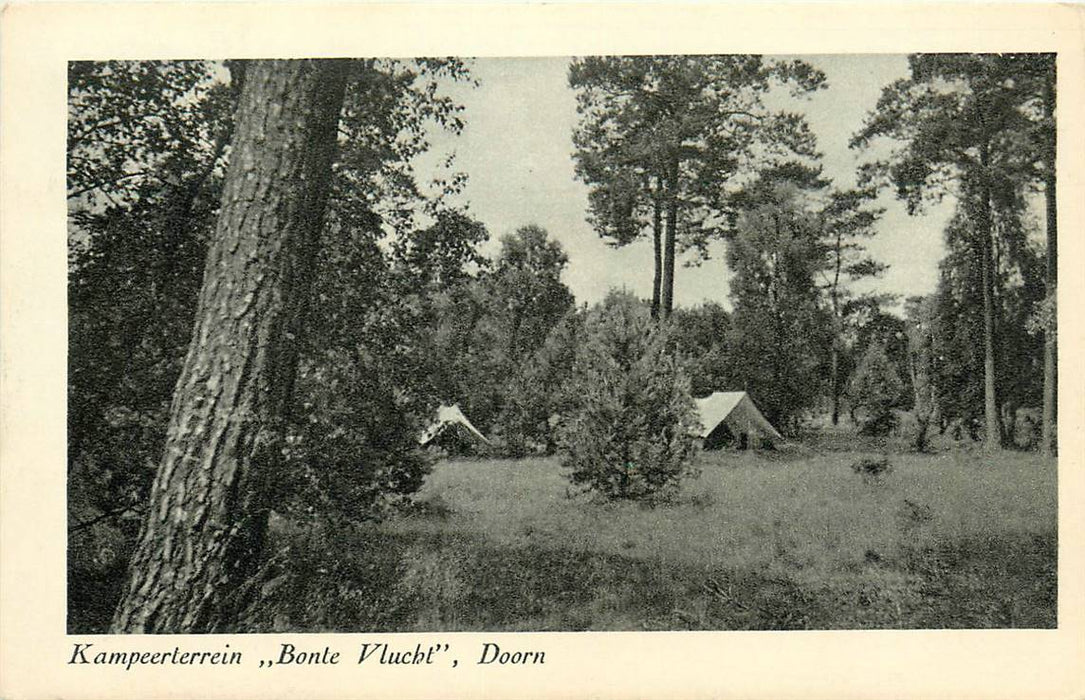 Doorn Kampeerterrein Bonte Vlucht