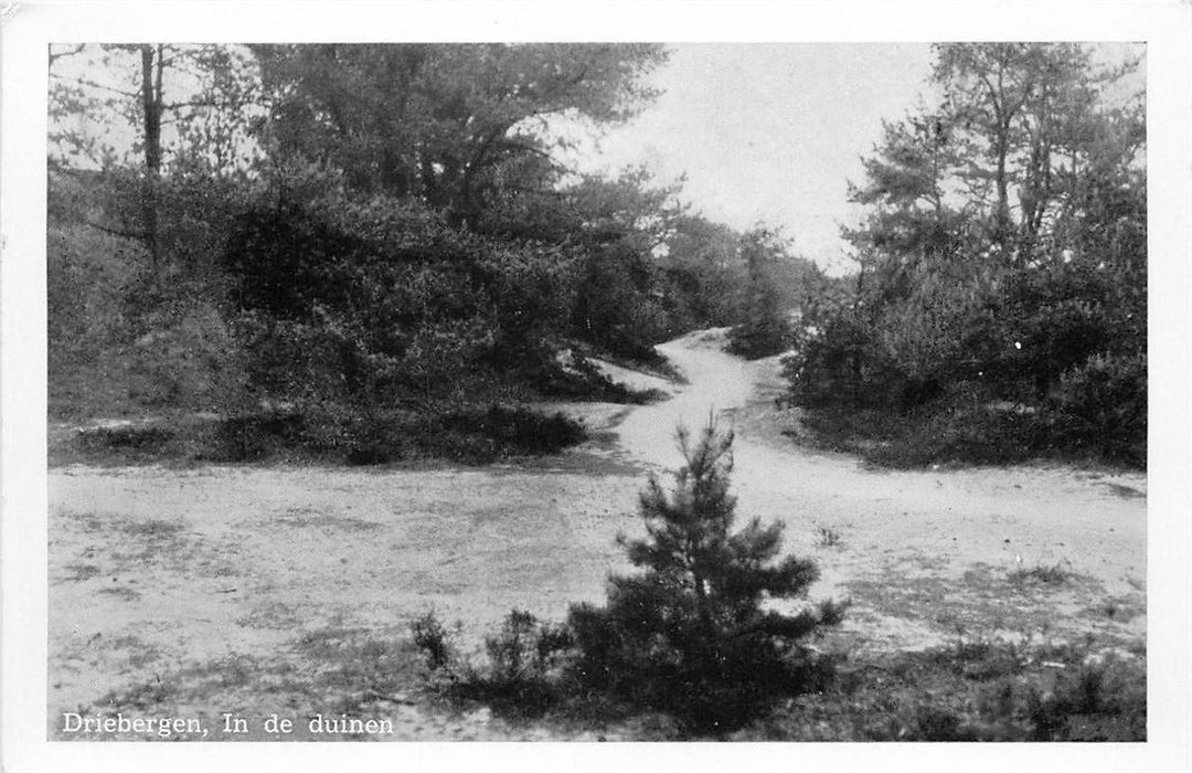 Driebergen-Rijsenburg In de Duinen