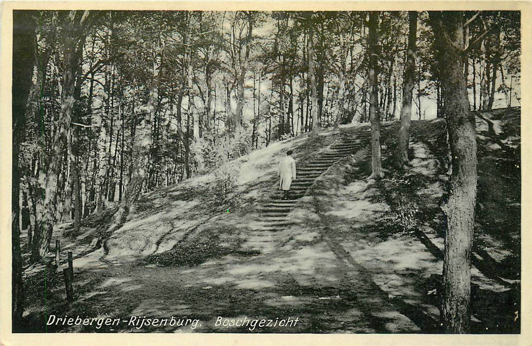 Driebergen-Rijsenburg Boschgezicht