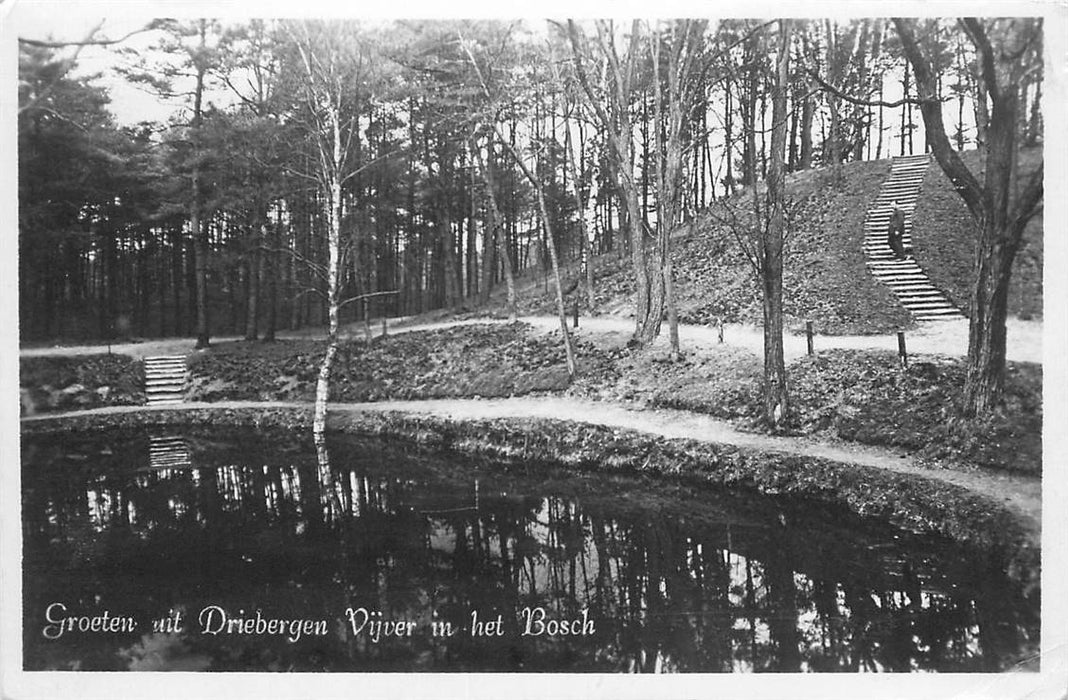 Driebergen-Rijsenburg Vijver in t Bosch