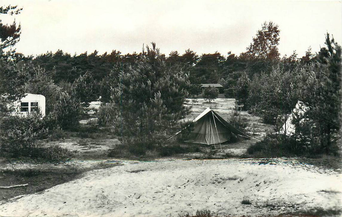 Doorn Het Grote Bos