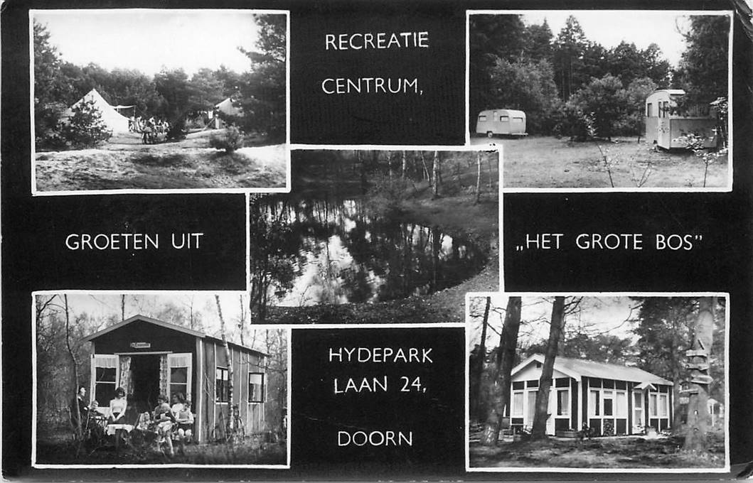 Doorn Het Grote Bos