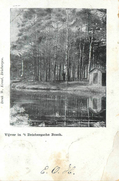 Driebergen-Rijsenburg Vijver