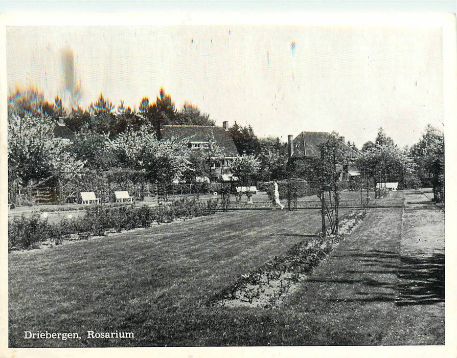 Driebergen-Rijsenburg Rosarium