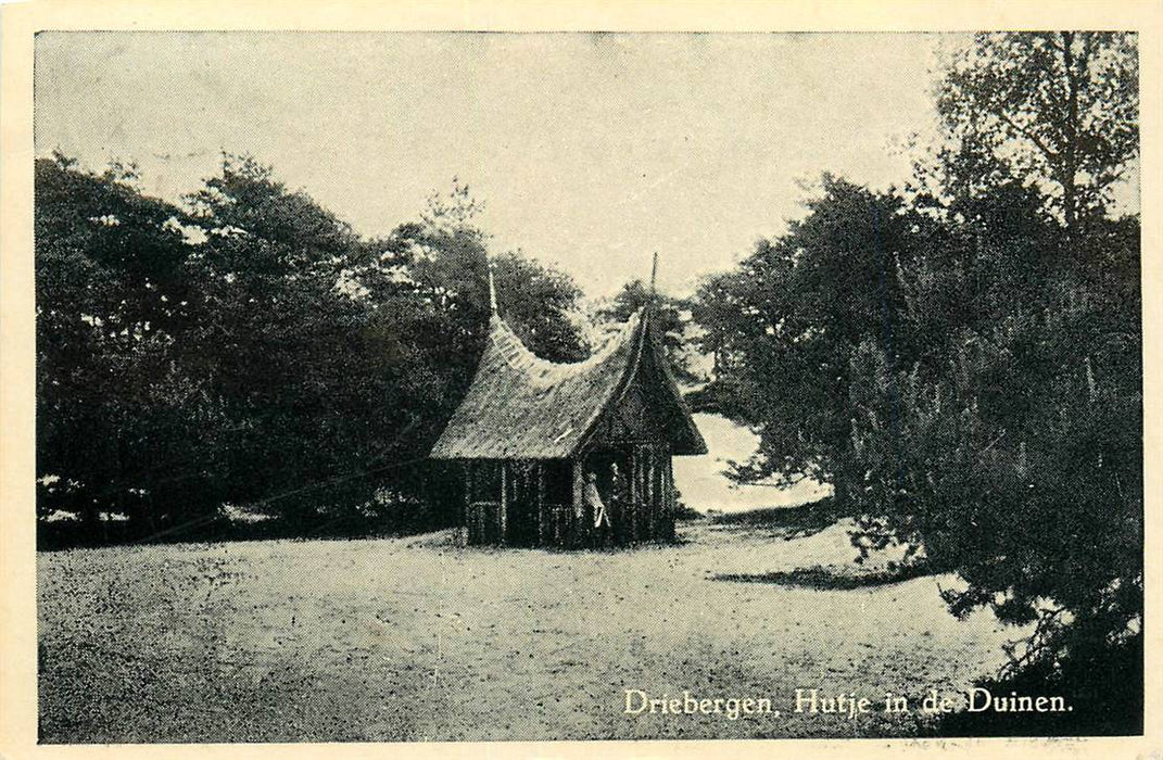 Driebergen-Rijsenburg Hutje in de Duinen