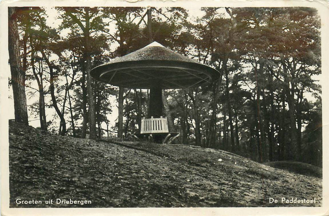 Driebergen-Rijsenburg De Paddenstoel