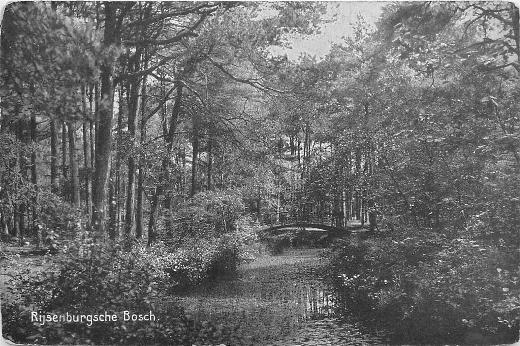 Driebergen-Rijsenburg Bosch