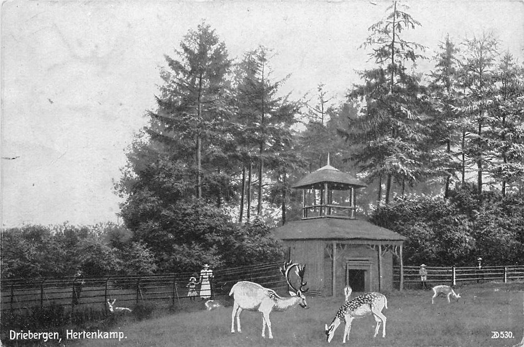 Driebergen-Rijsenburg Hertenkamp