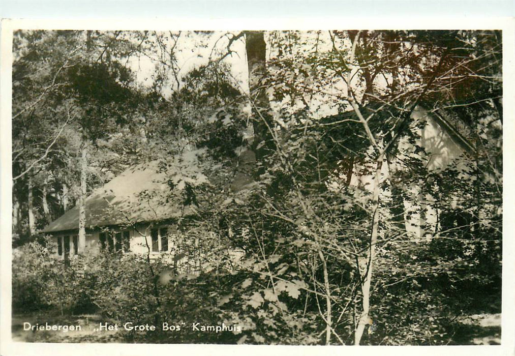 Driebergen-Rijsenburg Het Grote Bos