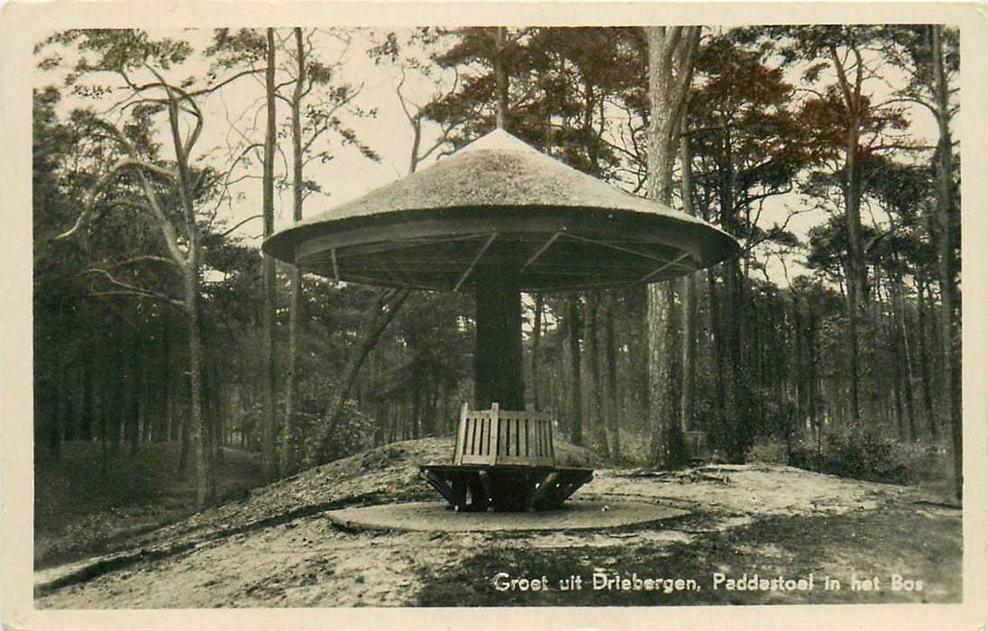 Driebergen-Rijsenburg Paddenstoel